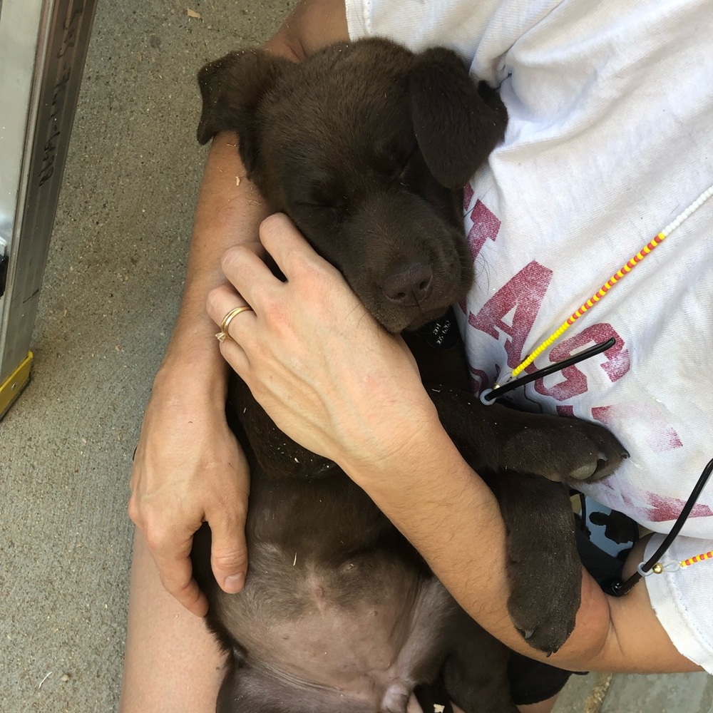 Meet your Posher, Lillian